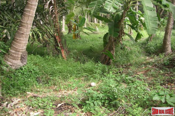 Large Land Plot only  300m to the Beach for Sale in Taling Ngam, Samui-4