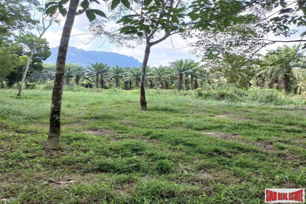 43 Rai Land Plot with a Rubber and Palm Plantation for Sale in Thung Maphrao, Phang Nga-10