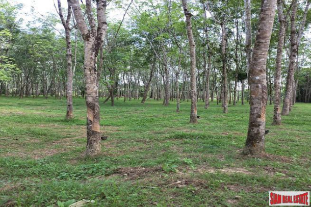 43 Rai Land Plot with a Rubber and Palm Plantation for Sale in Thung Maphrao, Phang Nga-12
