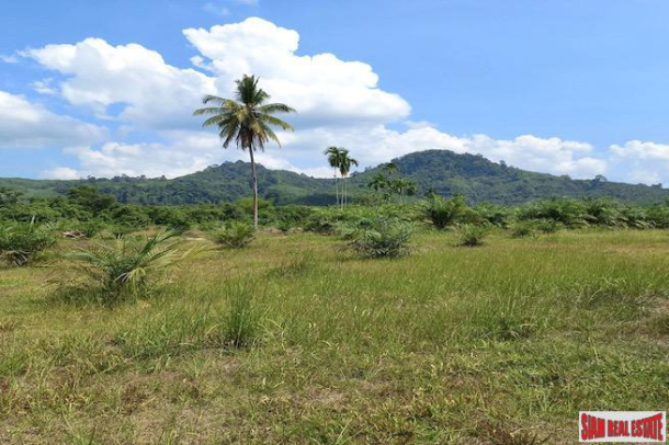 43 Rai Land Plot with a Rubber and Palm Plantation for Sale in Thung Maphrao, Phang Nga-2