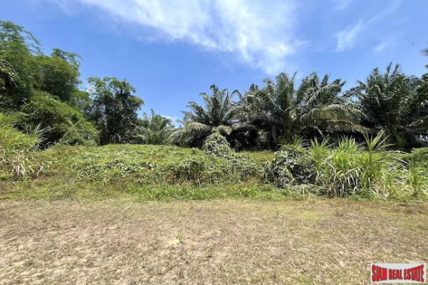 Almost 10 Rai Land Plot with Canal and Mountain Views for Sale in Takua Pa, Phang Nga-13