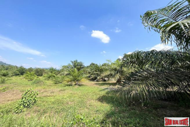 Almost 10 Rai Land Plot with Canal and Mountain Views for Sale in Takua Pa, Phang Nga-19