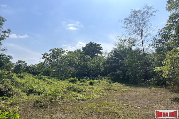 Almost 10 Rai Land Plot with Canal and Mountain Views for Sale in Takua Pa, Phang Nga-20