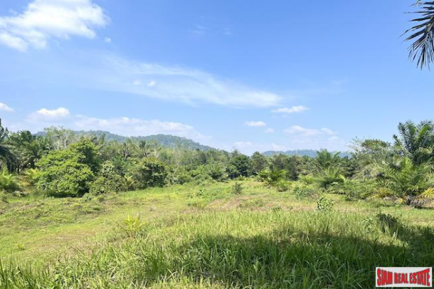 Almost 10 Rai Land Plot with Canal and Mountain Views for Sale in Takua Pa, Phang Nga-4
