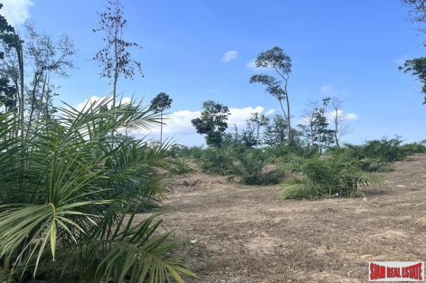 21 Rai Land Plot with Spectacular Sea Views from Both Sides of the Land for Sale in Takua Thung-22