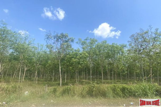 Large 29+ Rai Land Plot for Sale in a Prime Thalang Location-1