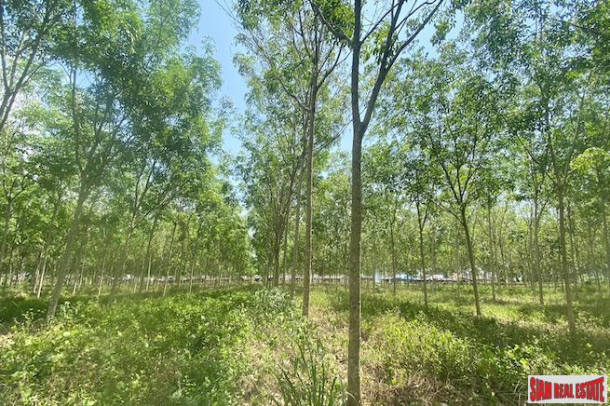 Large 29+ Rai Land Plot for Sale in a Prime Thalang Location-10