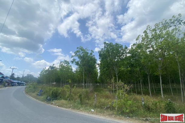 Large 29+ Rai Land Plot for Sale in a Prime Thalang Location-11