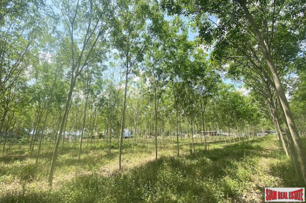 Large 29+ Rai Land Plot for Sale in a Prime Thalang Location-12