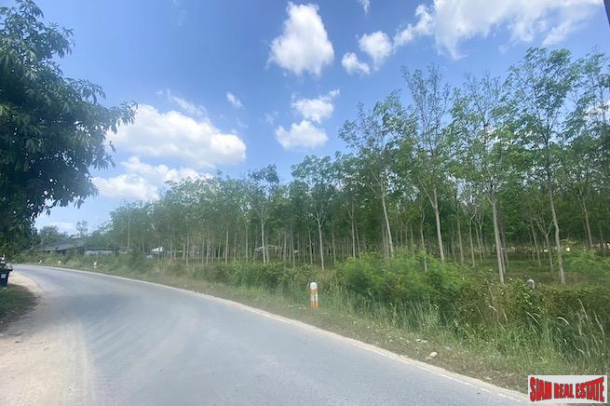 Large 29+ Rai Land Plot for Sale in a Prime Thalang Location-2
