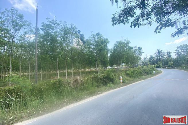 Large 29+ Rai Land Plot for Sale in a Prime Thalang Location-3