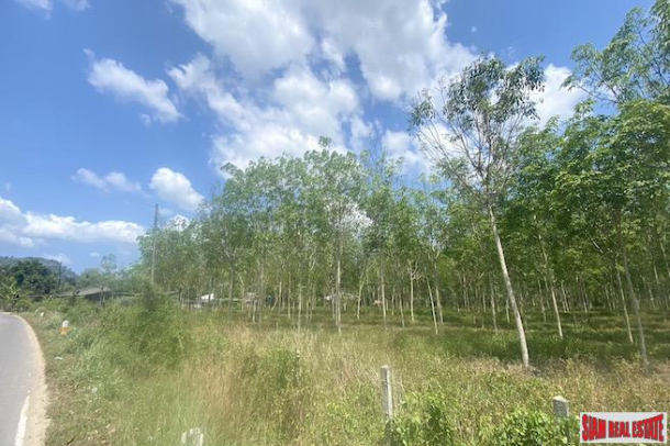 Large 29+ Rai Land Plot for Sale in a Prime Thalang Location-4