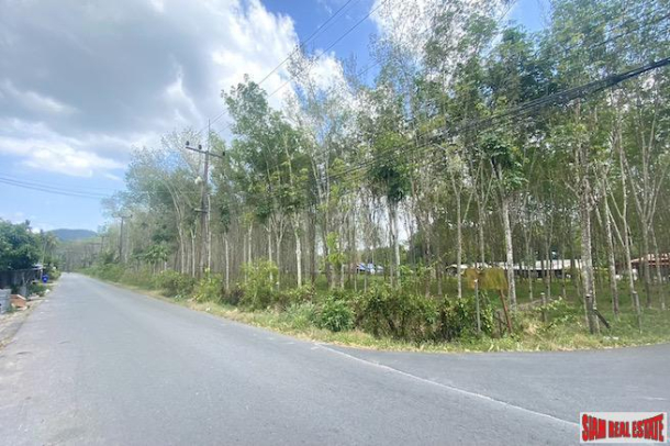 25 Rai Land Plot for Sale in an Excellent Thalang Location-1