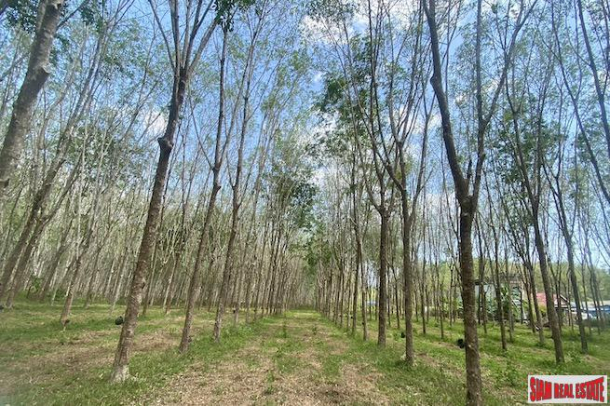 25 Rai Land Plot for Sale in an Excellent Thalang Location-11