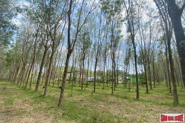 25 Rai Land Plot for Sale in an Excellent Thalang Location-12