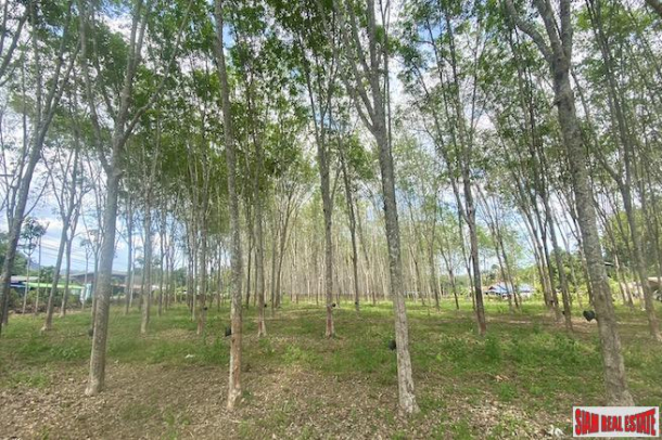 25 Rai Land Plot for Sale in an Excellent Thalang Location-2