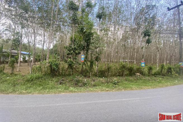 25 Rai Land Plot for Sale in an Excellent Thalang Location-5