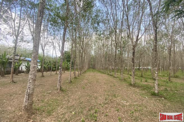 25 Rai Land Plot for Sale in an Excellent Thalang Location-6