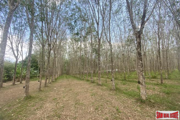 25 Rai Land Plot for Sale in an Excellent Thalang Location-7
