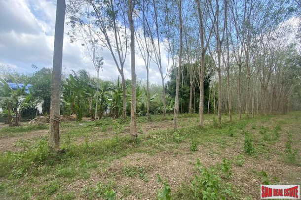 25 Rai Land Plot for Sale in an Excellent Thalang Location-8