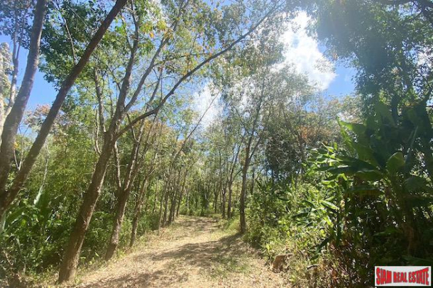 Large Hillside Land Plot with Sunset & Sea Views for Sale in Layan-11