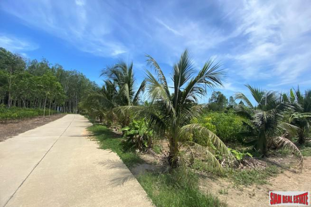 15 Rai Land Plot for Sale on Main Road between Phang Nga and Krabi-13