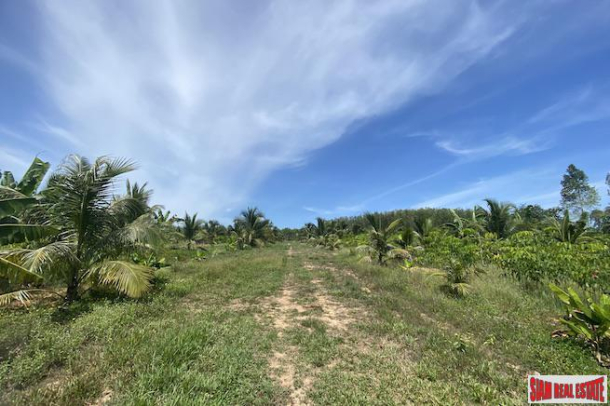 15 Rai Land Plot for Sale on Main Road between Phang Nga and Krabi-14