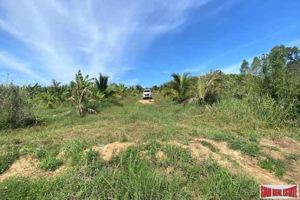 15 Rai Land Plot for Sale on Main Road between Phang Nga and Krabi-4