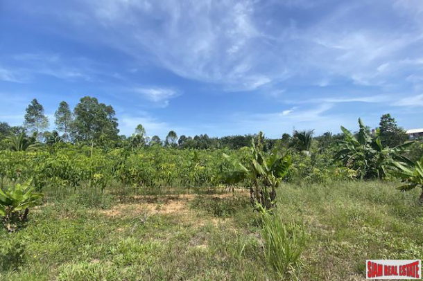 15 Rai Land Plot for Sale on Main Road between Phang Nga and Krabi-5
