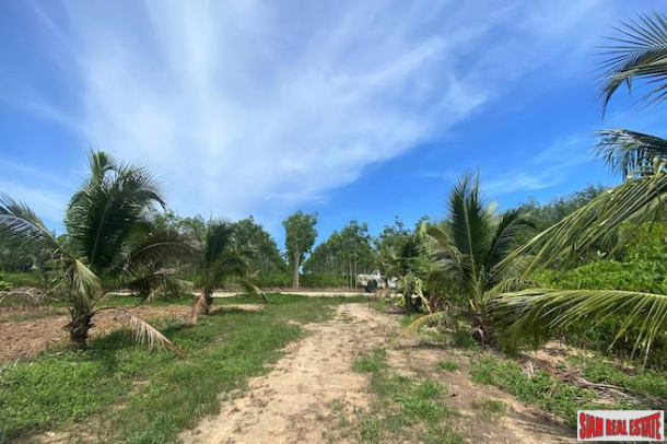 15 Rai Land Plot for Sale on Main Road between Phang Nga and Krabi-6