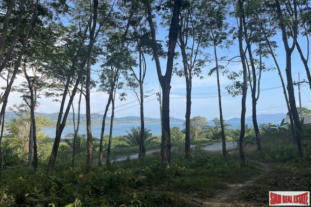 Sea View Land Plot Over 18 Rai for Sale in Takua Thung, Phang Nga-3