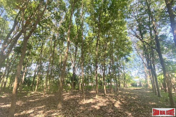 10832 sqm // 6+ Rai Land Plot for Sale in the Middle of Popular Rawai-1