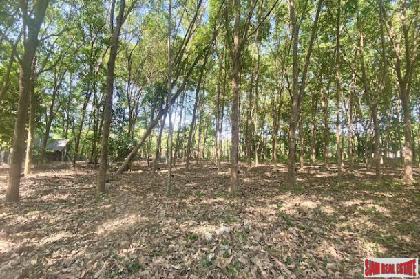 10832 sqm // 6+ Rai Land Plot for Sale in the Middle of Popular Rawai-2