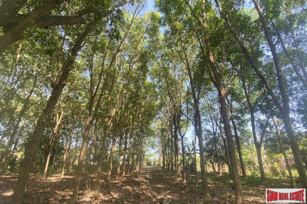 10832 sqm // 6+ Rai Land Plot for Sale in the Middle of Popular Rawai-3