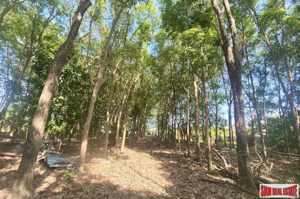 10832 sqm // 6+ Rai Land Plot for Sale in the Middle of Popular Rawai-4