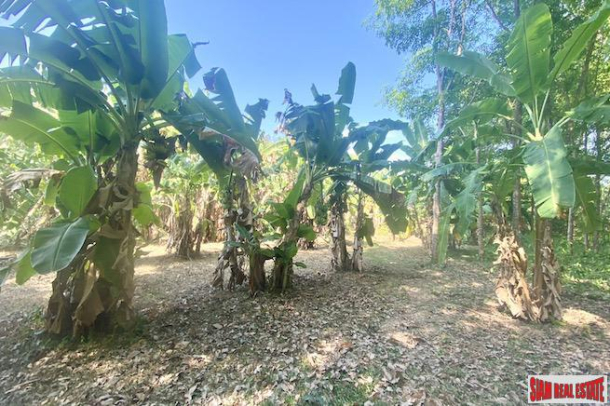 10832 sqm // 6+ Rai Land Plot for Sale in the Middle of Popular Rawai-6