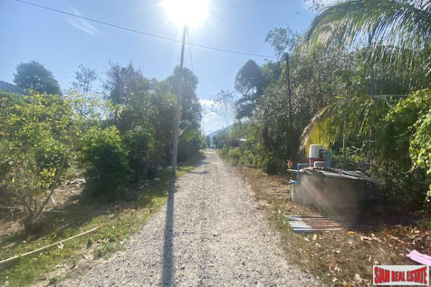 10832 sqm // 6+ Rai Land Plot for Sale in the Middle of Popular Rawai-7