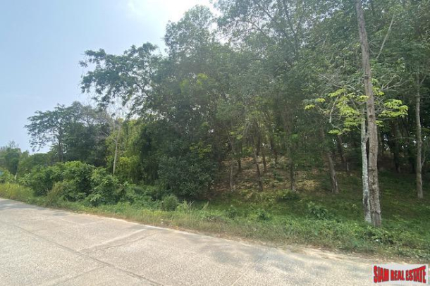 Over 5 Rai of Sloping Hillside Land for Sale in Layan-1