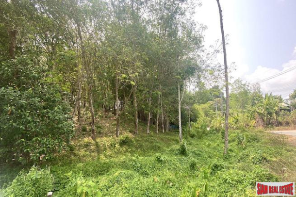 Over 5 Rai of Sloping Hillside Land for Sale in Layan-2