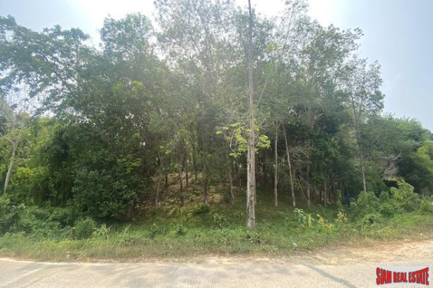Over 5 Rai of Sloping Hillside Land for Sale in Layan-3