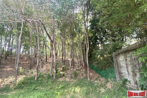 Over 5 Rai of Sloping Hillside Land for Sale in Layan-4