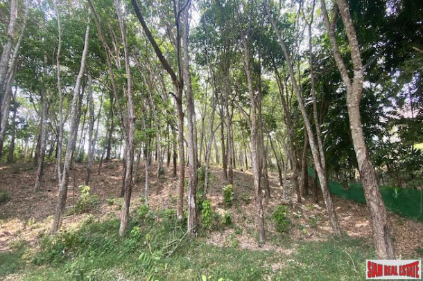 Over 5 Rai of Sloping Hillside Land for Sale in Layan-5