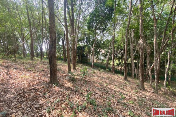 Over 5 Rai of Sloping Hillside Land for Sale in Layan-6