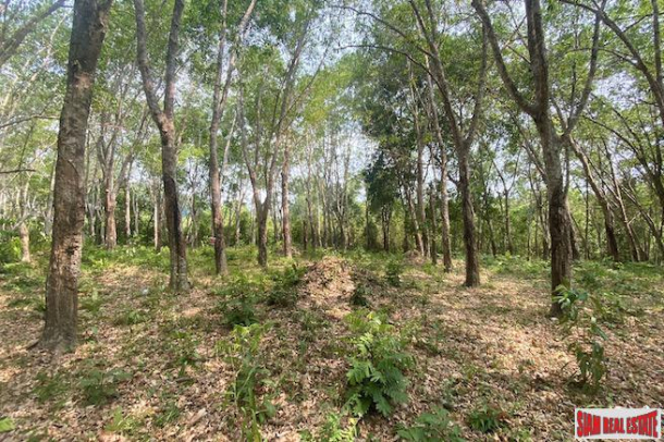 Over 5 Rai of Sloping Hillside Land for Sale in Layan-8