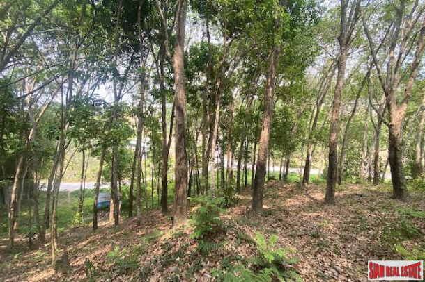 Over 5 Rai of Sloping Hillside Land for Sale in Layan-9