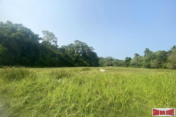 A 4 Rai Land Plot for Sale in a Quiet Green Zone of Paklok, Phuket-1