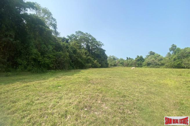 A 4 Rai Land Plot for Sale in a Quiet Green Zone of Paklok, Phuket-5