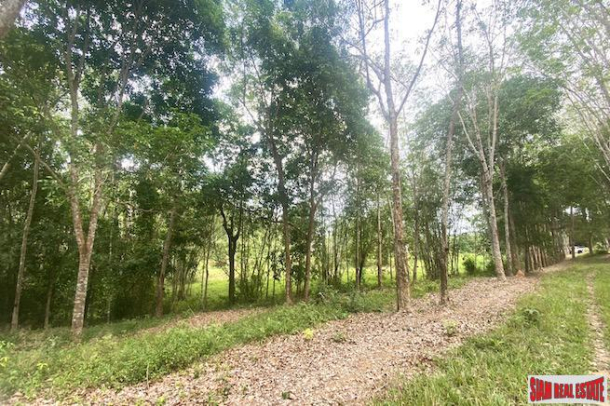 10 Rai Rubber Plantation Surrounded by Lush Vegetation for Sale in Pa Klok, Phuket-5