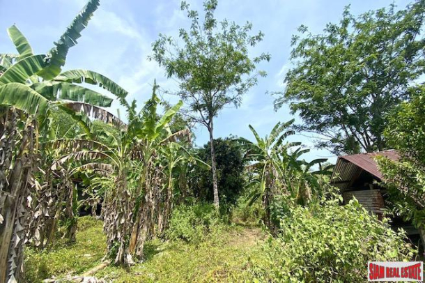 1.73 Rai of Flat Land for Sale Near Mai Khao Beach, Phuket-6