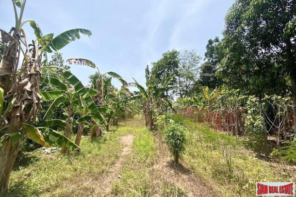 1.38 Rai of Flat Land for Sale in Mai Khao - Perfect for Building a Pool Villa-3